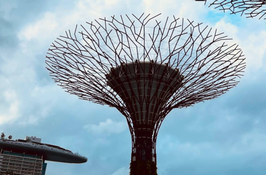 Di Balik Gate Imigrasi Changi: Cerita Kecil tentang Ketegasan dan Rasa Aman